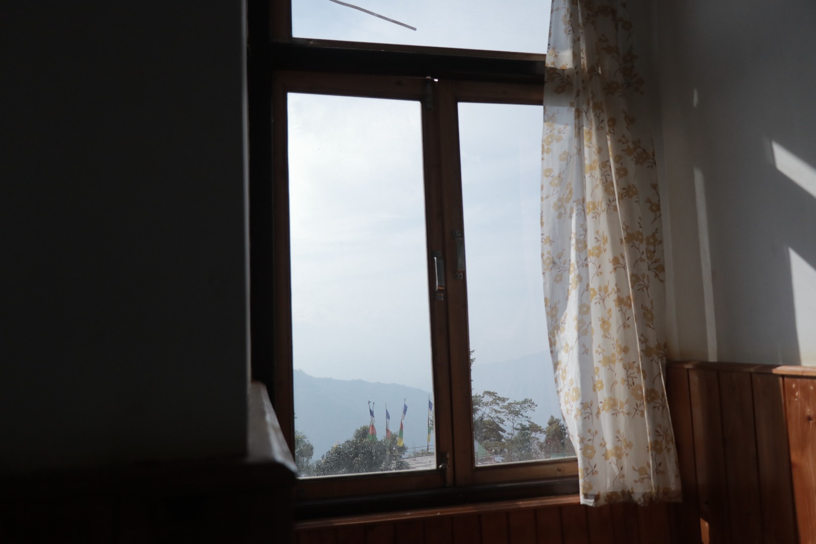 Room 204 view